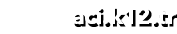 aci k12 tr