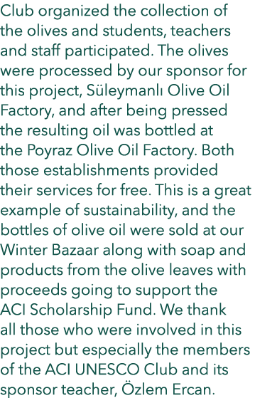 Club organized the collection of the olives and students, teachers and staff participated  The olives were processed    