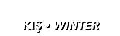 KIŞ   WINTER