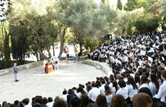 $$$/StateType/Normal