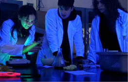 $$$/StateType/Normal