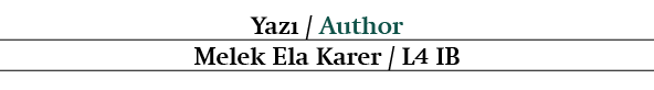 Yaz / Author Melek Ela Karer / L4 IB