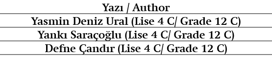 Yaz / Author Yasmin Deniz Ural (Lise 4 C/ Grade 12 C) Yank  Sara o lu (Lise 4 C/ Grade 12 C) Defne  and r (Lise 4 C/...