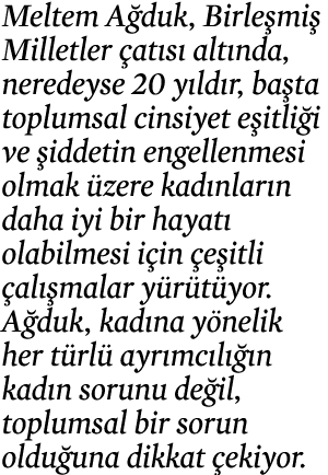 Meltem Ağduk, Birleşmiş Milletler çatısı altında, neredeyse 20 yıldır, başta toplumsal cinsiyet eşitliği ve şiddetin    