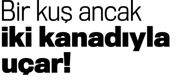 Bir kuş ancak iki kanadıyla uçar 