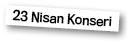 23 Nisan Konseri