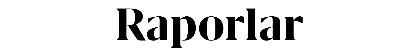Raporlar