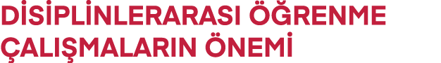 disiplinlerarası öğrenme ÇALIŞMALARIN ÖNEMİ 