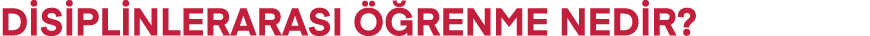 disiplinlerarası öğrenme NEDİR 
