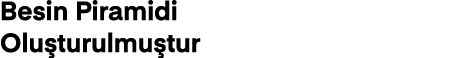 Besin Piramidi Oluşturulmuştur
