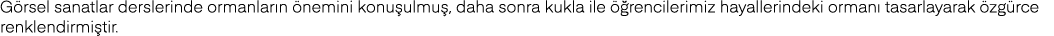Görsel sanatlar derslerinde ormanların önemini konuşulmuş, daha sonra kukla ile öğrencilerimiz hayallerindeki ormanı    