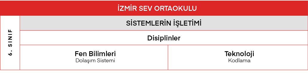 İZMİR SEV ORTAOKULU,6  SINIF,SİSTEMLERİN İŞLETİMİ,Disiplinler,Fen Bilimleri Dolaşım Sistemi,Teknoloji Kodlama