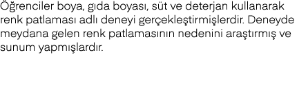 Öğrenciler boya, gıda boyası, süt ve deterjan kullanarak renk patlaması adlı deneyi gerçekleştirmişlerdir  Deneyde me   