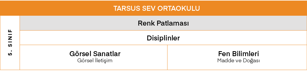 TARSUS SEV ORTAOKULU,5  SINIF,Renk Patlaması,Disiplinler,Görsel Sanatlar Görsel İletişim,Fen Bilimleri Madde ve Doğası