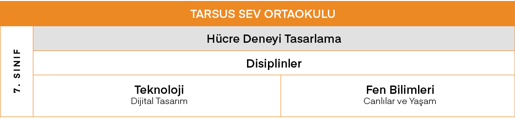 TARSUS SEV ORTAOKULU,7  SINIF,Hücre Deneyi Tasarlama,Disiplinler,Teknoloji Dijital Tasarım,Fen Bilimleri Canlılar ve    