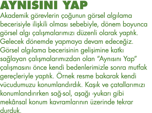 AYNISINI YAP Akademik görevlerin çoğunun görsel algılama becerisiyle ilişkili olması sebebiyle, dönem boyunca görsel    
