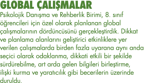 GLOBAL ÇALIŞMALAR Psikolojik Danışma ve Rehberlik Birimi, 8  sınıf öğrencileri için özel olarak planlanan global çalı   