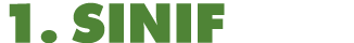 1  sınıf