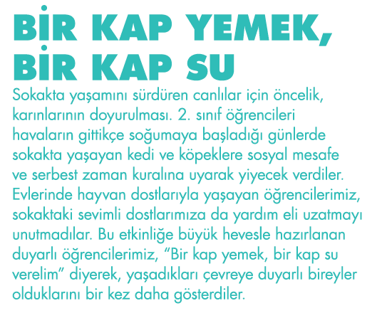 BİR KAP YEMEK, BİR KAP SU Sokakta yaşamını sürdüren canlılar için öncelik, karınlarının doyurulması  2  sınıf öğrenci   