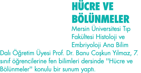 HÜCRE VE BÖLÜNMELER Mersin Üniversitesi Tıp Fakültesi Histoloji ve Embriyoloji Ana Bilim Dalı Öğretim Üyesi Prof  Dr    