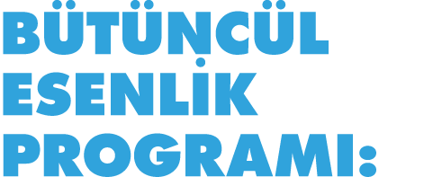 BÜTÜNCÜL ESENLİK PROGRAMI: 