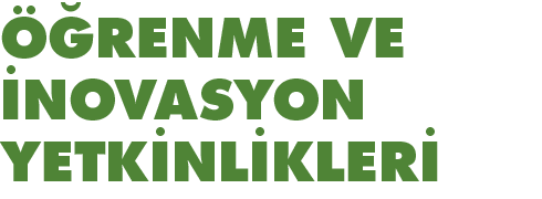 ÖĞRENME VE İNOVASYON YETKİNLİKLERİ 