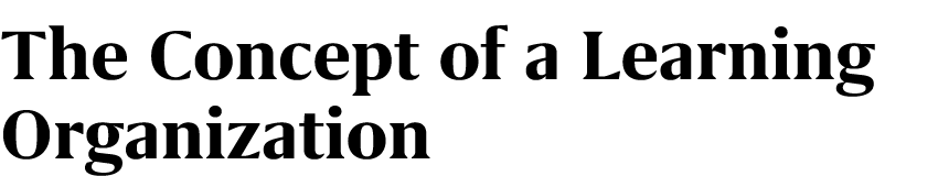 The Concept of a Learning Organization