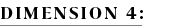 DIMENSION 4: