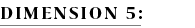 DIMENSION 5: