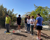 $$$/StateType/Normal