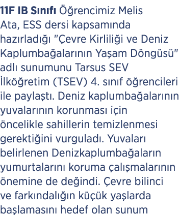 11F IB S n f   rencimiz Melis Ata, ESS dersi kapsam nda haz rlad    \“ evre Kirlili i ve Deniz Kaplumba alar n n Ya ...