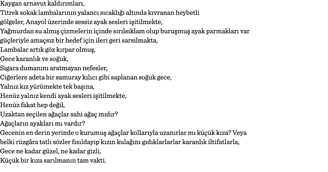 Kaygan arnavut kaldırımları, Titrek sokak lambalarının yalancı sıcaklığı altında kıvranan heybetli gölgeler, Anayol ü   