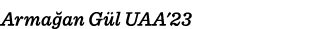 Armağan Gül UAA'23 