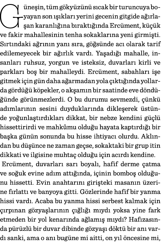 Güneşin, tüm gökyüzünü sıcak bir turuncuya boyayan son ışıkları yerini gecenin gitgide ağırlaşan karanlığına bıraktığ   