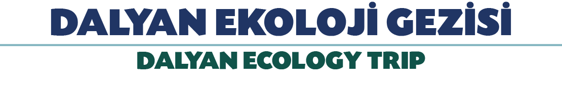 DALYAN EKOLOJ GEZ S  DALYAN ECOLOGY TRIP 