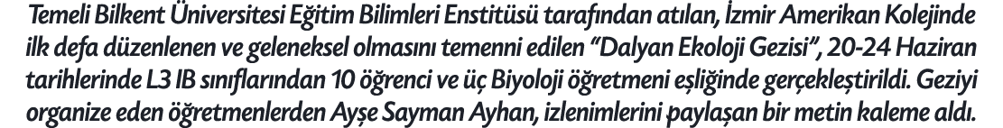 Temeli Bilkent niversitesi E itim Bilimleri Enstit s  taraf ndan at lan,  zmir Amerikan Kolejinde ilk defa d zenlene...