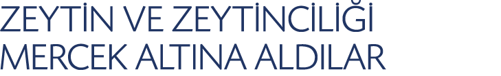 ZEYT N VE ZEYT NC L   MERCEK ALTINA ALDILAR