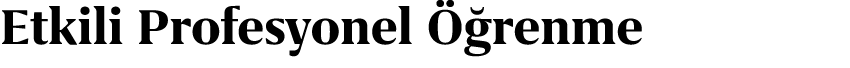 Etkili Profesyonel  renme 