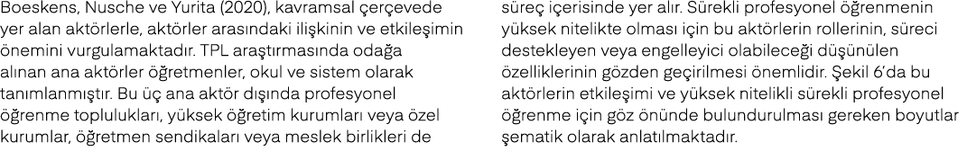 Boeskens, Nusche ve Yurita (2020), kavramsal er evede yer alan akt rlerle, akt rler aras ndaki ili kinin ve etkile i...