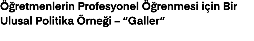  retmenlerin Profesyonel   renmesi i in Bir Ulusal Politika  rne i – “Galler”
