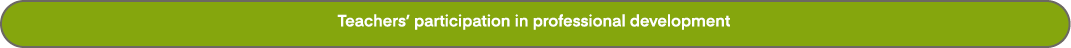 Teachers’ participation in professional development