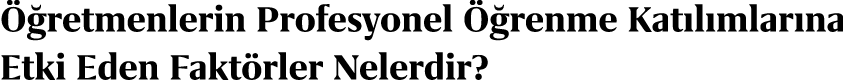  retmenlerin Profesyonel   renme Kat l mlar na Etki Eden Fakt rler Nelerdir?