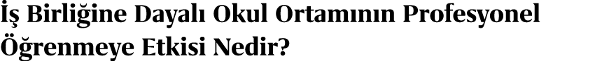   Birli ine Dayal  Okul Ortam n n Profesyonel   renmeye Etkisi Nedir? 