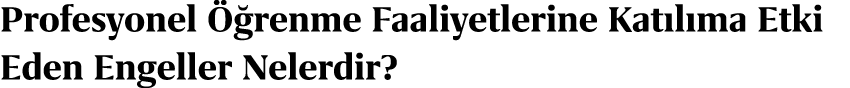 Profesyonel  renme Faaliyetlerine Kat l ma Etki Eden Engeller Nelerdir?