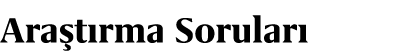 Ara t rma Sorular 
