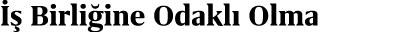   Birli ine Odakl  Olma