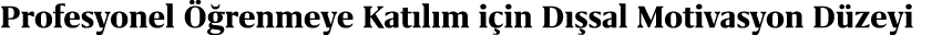 Profesyonel  renmeye Kat l m i in D  sal Motivasyon D zeyi