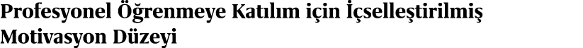 Profesyonel  renmeye Kat l m i in   selle tirilmi  Motivasyon D zeyi