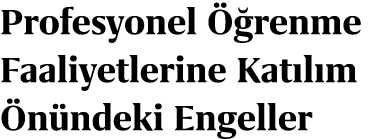 Profesyonel  renme Faaliyetlerine Kat l m  n ndeki Engeller