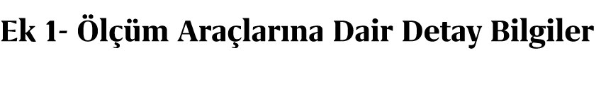 Ek 1 l  m Ara lar na Dair Detay Bilgiler
